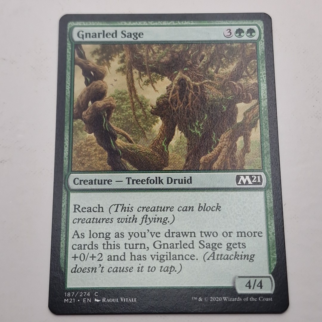MTG: Gnarled Sage 157/274 - M21 Core Set 2021 verde común