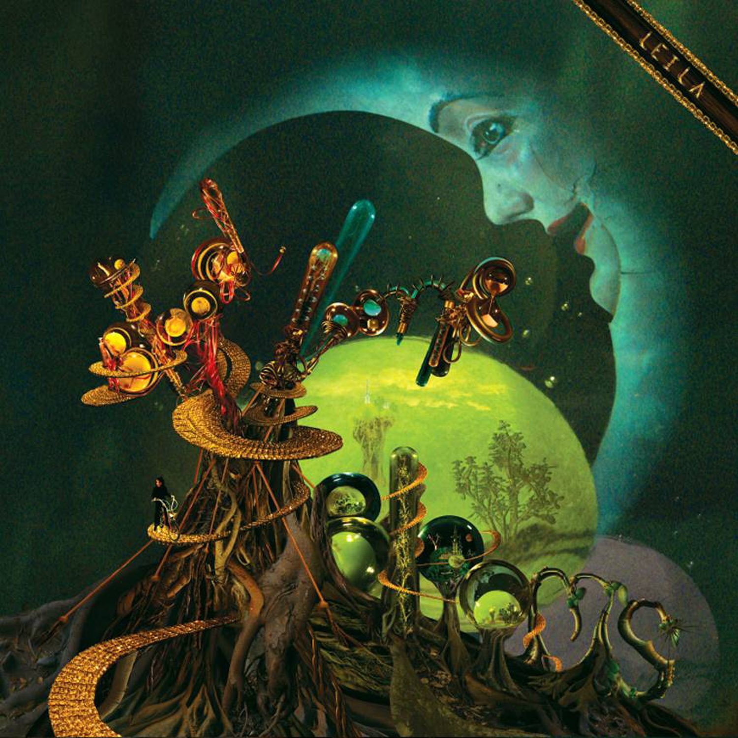 Leila (Dance & DJ) Blood, Looms and Blooms (Vinyl LP)