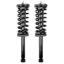 For Nissan Maxima 1995-99 Rear Pair Complete Struts Shocks Coil Spring Wmount