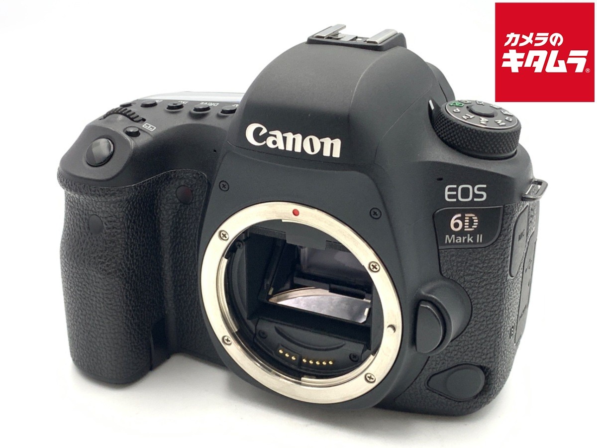 デジタル一眼 canon 6Dmark2 Canon 6Dmark2 ミラーレスの時代にこそ一眼レフ機を使いたくて | Still