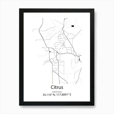 Citrus Springs,United States Minima Framed Wall Art Poster Canvas Print Picture