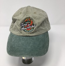 VTG US Forest Service Fire & Aviation Southern Region Hat NOS Sage Forest Green