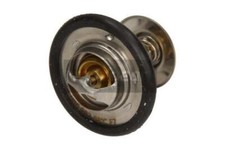 Thermostat Ford P 100