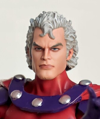 HEAD ONLY Marvel Legends Custom painted Head Xmen Magneto | eBay