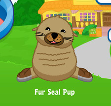 Webkinz Fur Seal Pup Virtual PET Adoption Code Only Messaged Webkinz Cute Seal