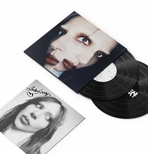 Las mejores ofertas en Discos de vinilo LP doble de Lady Gaga | eBay