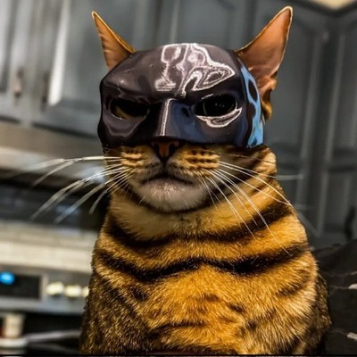 3D-Printed Batman Helmet for Cats