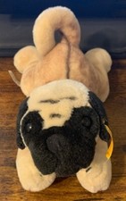 2004 Steiff Pug Plush American Kennel Club 668180 Mops Welpe 25