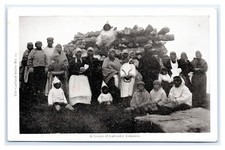 GRUPO DE ESQUIMALES LABRADOR DE TERRANOVA DE LA GUIRNALDA SERIE Nº 25 ca 1905