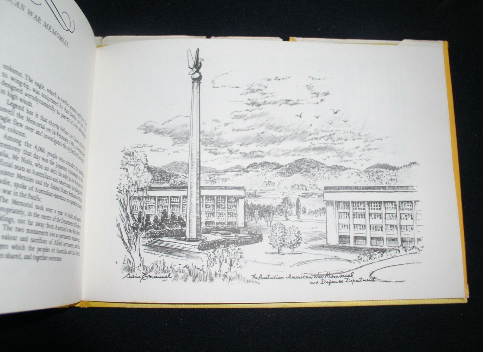 Picture 4 of 8