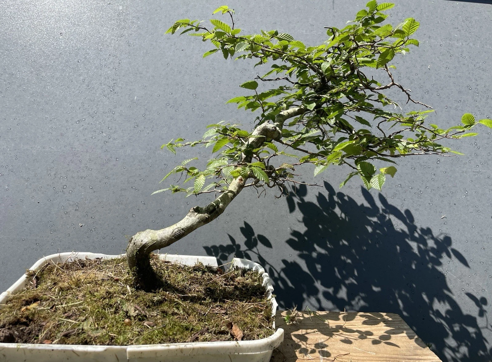 Photo 1/7