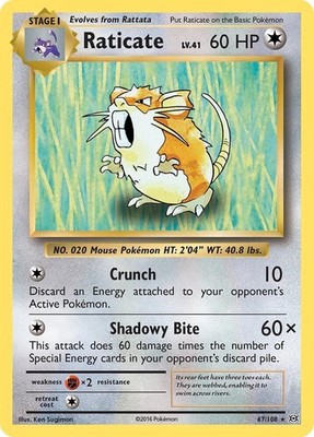 Raticate 67/108 XY - Evolutions LP-NM Pokemon TCG