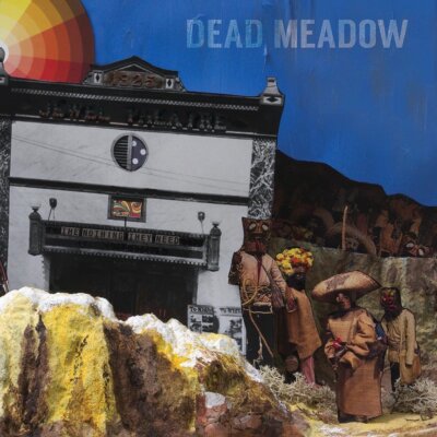 DEAD MEADOW - THE NOTHING THEY NEED   VINYL LP NEU 