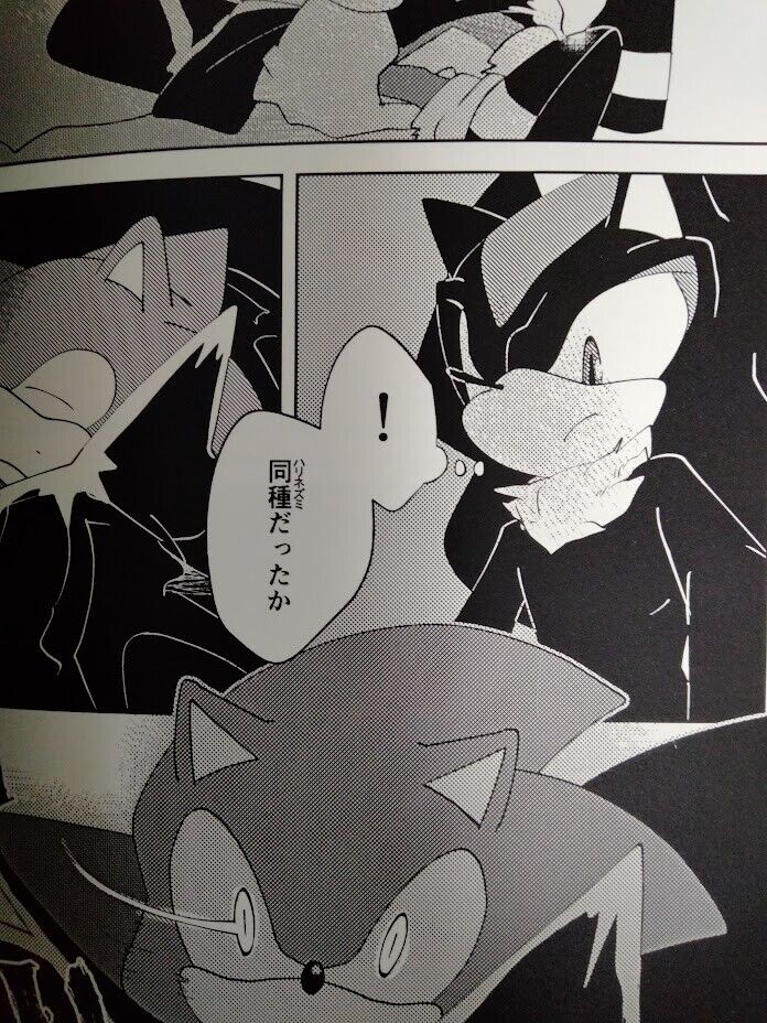 Sonic the Hedgehog Doujinshi Sonic X Shadow (B5 50pages) ROOT8Beat