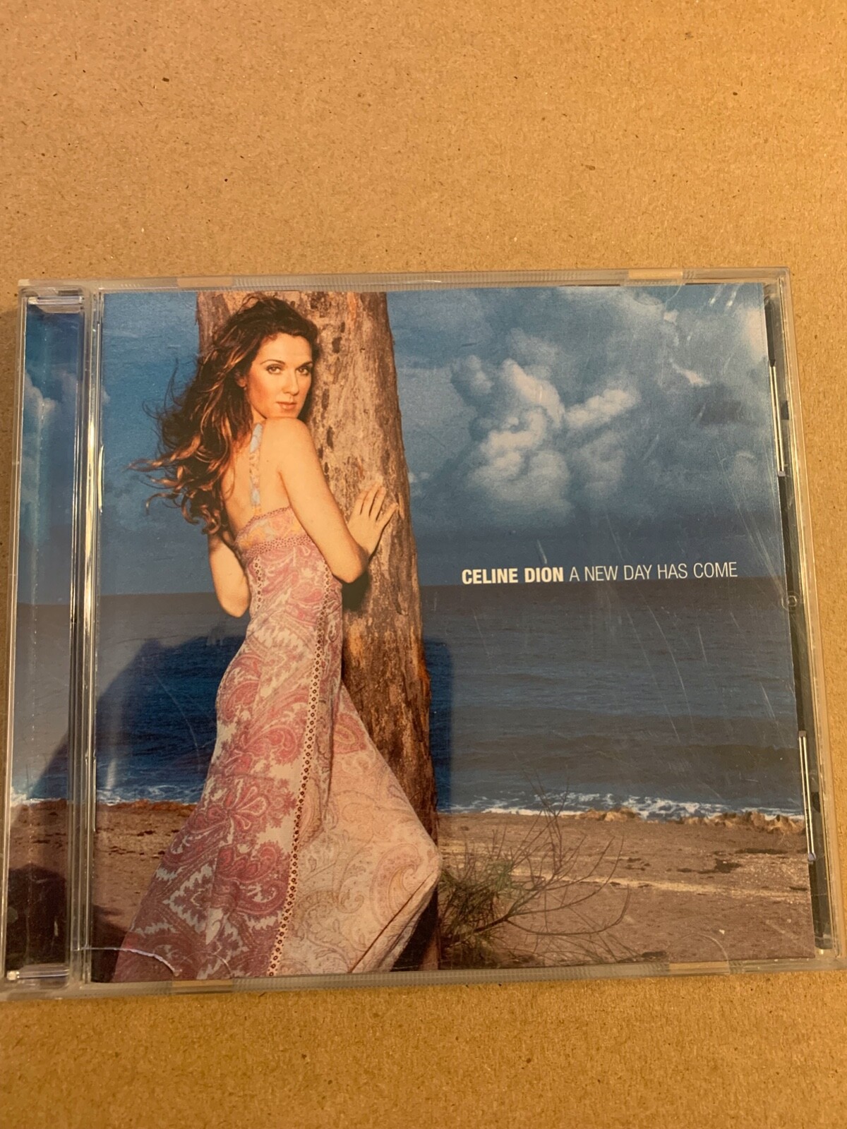 Celine Dion - A New Day Has Come - CD