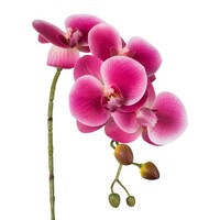 Kunstblume Phalenopsis 3D-Print, 4Er Set, Farbe Pink, HöHe Ca. 42 Cm