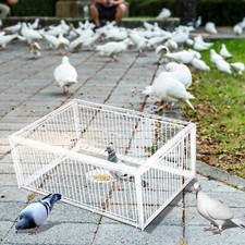 Catch Pigeon Trap Foldable Galvanised Pigeon Dove Trap Cage One-Way Entrance AU