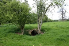 Photo 6x4 Old culvert near Homend, Stretton Grandison Canon Frome The cul c2009