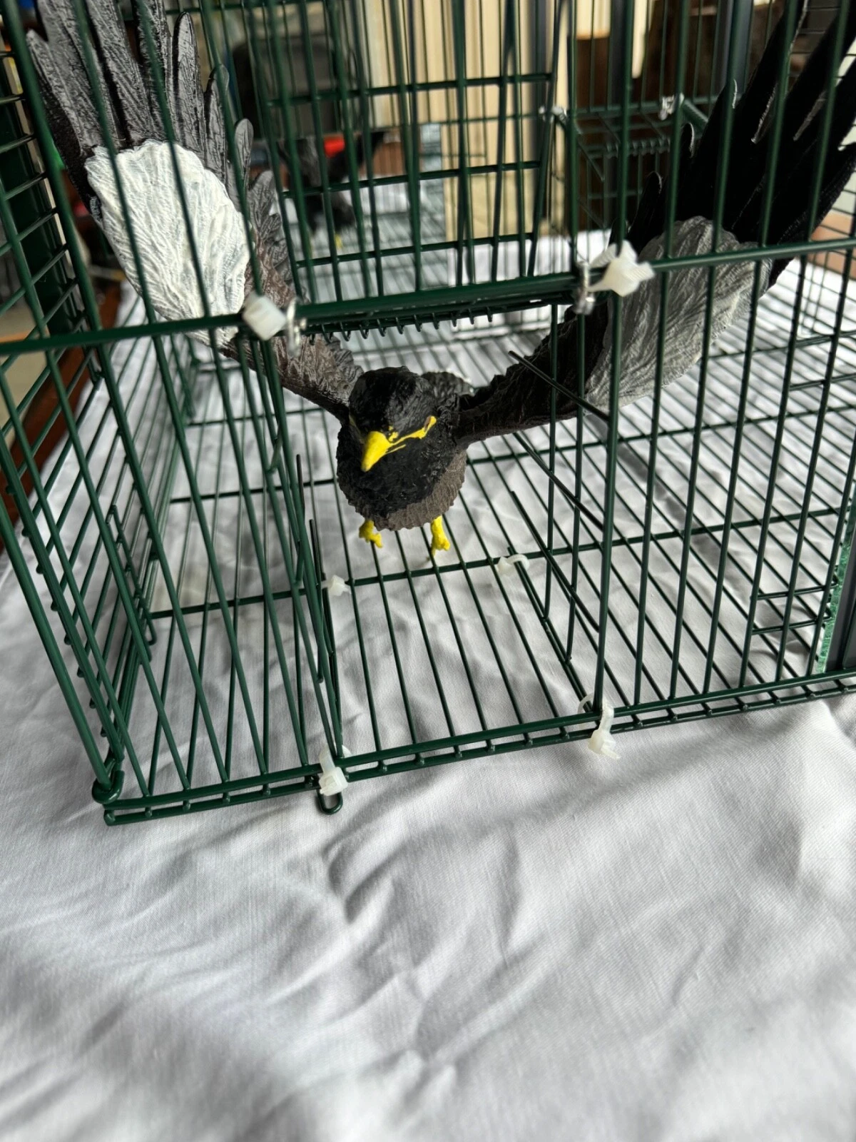 Picture 20 of 24