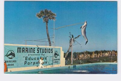 PPC Postcard FL Florida Marineland Marine Studios Florida's Famous Oceanarium Tr