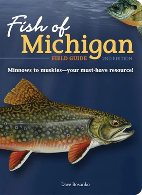 Dave Bosanko | Fish of Michigan Field Guide | Taschenbuch | Englisch (2021)