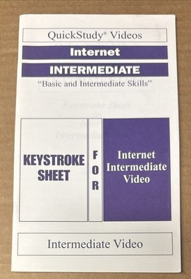 QuickStudy Videos : Internet Intermediate,  Basic & Intermediate Skills  (GOOD)
