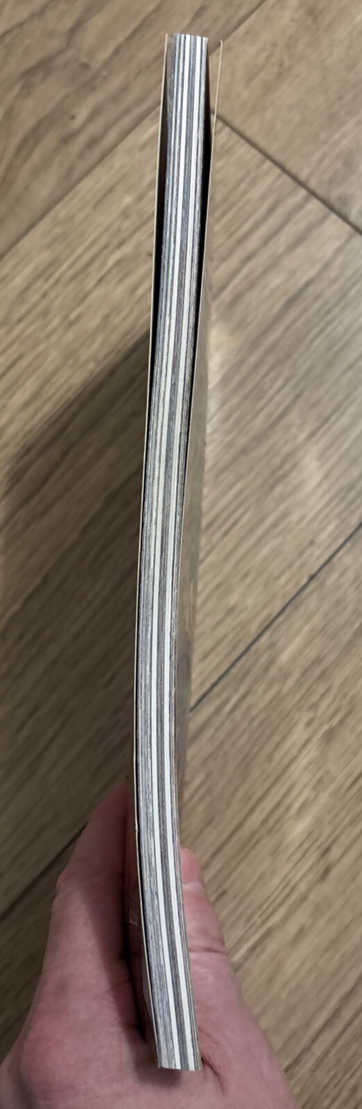 Picture 4 of 6