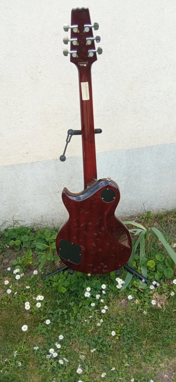 Picture 11 of 24