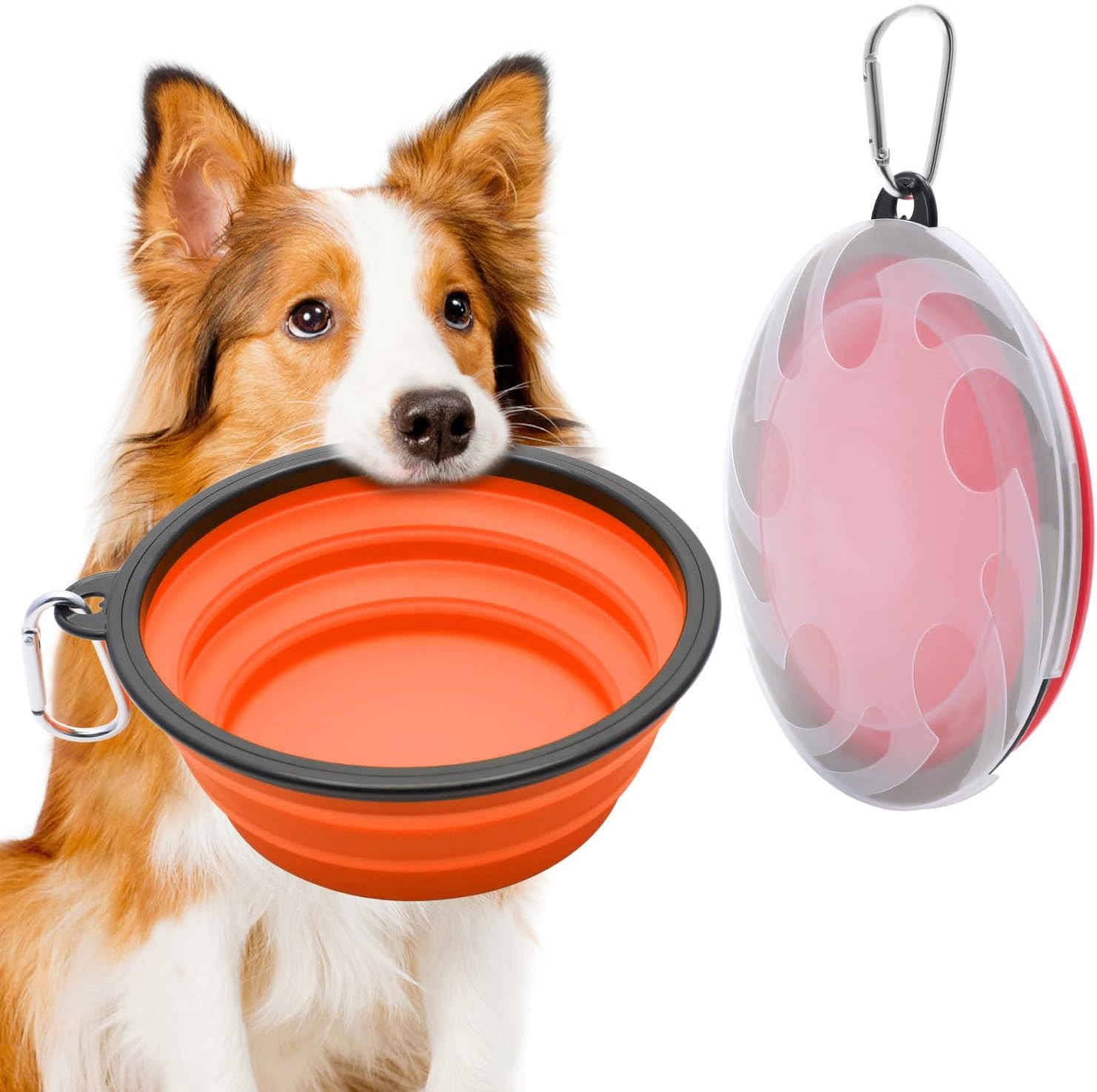 Ciotole da Viaggio 1000ml per Cani Grandi | Set 2 Pezzi Pieghevoli