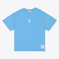 Men's Mitchell & Ness Light Blue New York Mets Insignia Premium T-Shirt