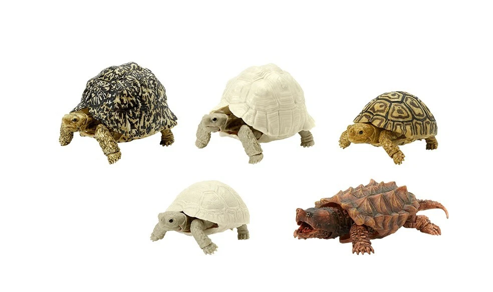Bandai turtles best sale