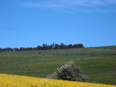 Foto 6x4 Acker und grasend nördlich von Luthrie Brunton\/NO3220 in Fife. c2010