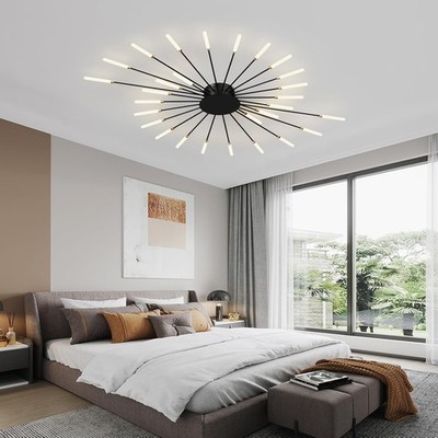 Hight Quality Firework Desgin LED Ceiling Light with Plug-in for Bedroom,Black