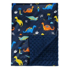 Micro Fleece Minky Baby Blanket for Boys with Double Layer and Soothing Raise...