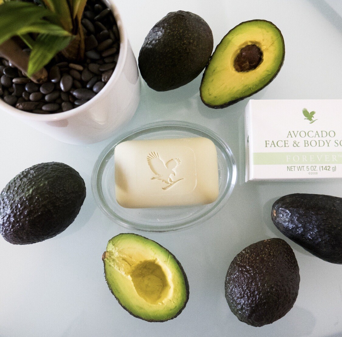 2 Pack - Aloe Avocado Face and Body Soap 5 oz. each Forever Living Free  Shipping | eBay