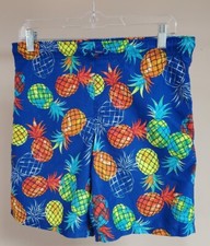Boy's Wonder Nation Blue with Colorful Pineapples Swim Trunks Good Condition