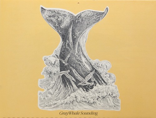 Gentle Giants of the Sea 1979 Whale Calendar, beautiful artwork, spiral bound - Picture 13 of 15