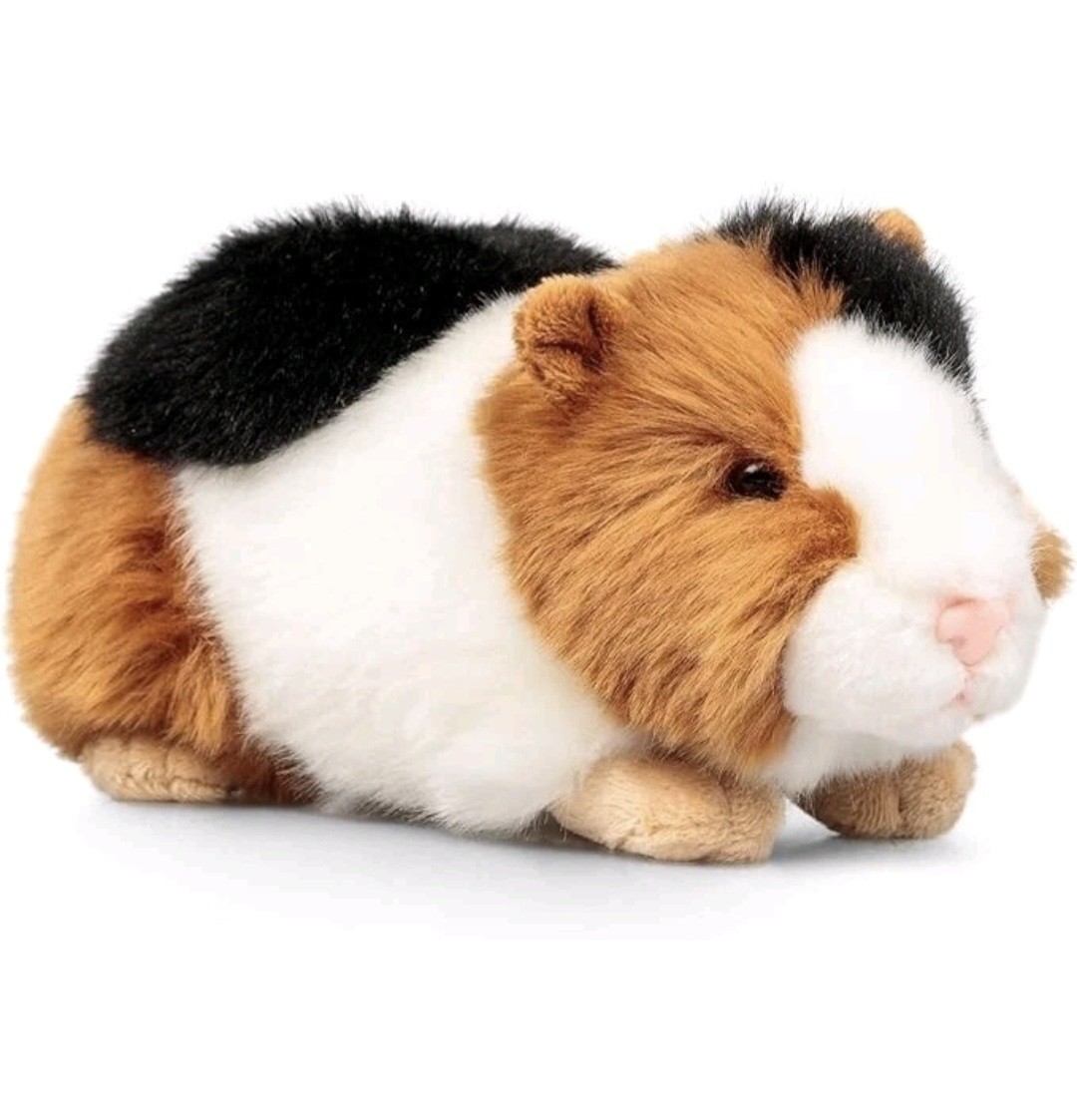 Animigos World Of Nature 24cm GUINEA PIG Plush Soft Realistic Teddy Boys Girls