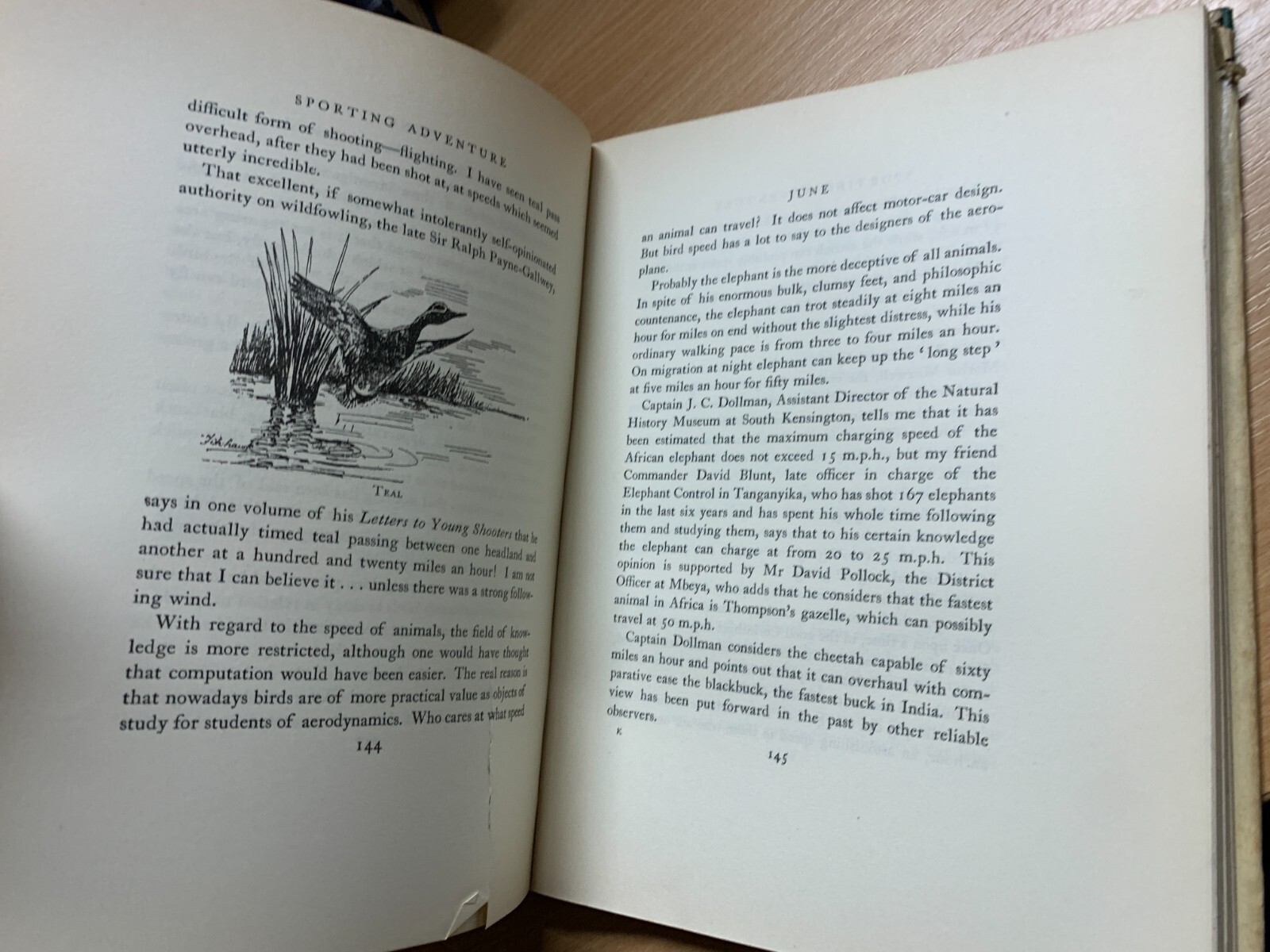 Picture 19 of 23