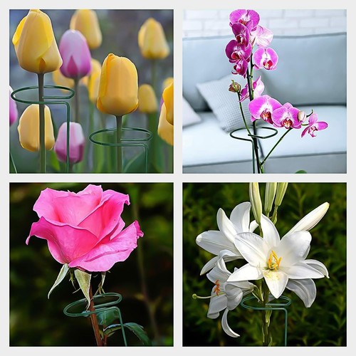 Plant Support Stakes with Plant Labels Garden Single Stem Flower Cage Support - Picture 5 of 43