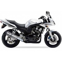 Ixil Hexoval Xtrem Auspuff Passend FüR Yamaha FZS 600 Fazer 1998-2003