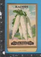 E951 Card Seed Co Icicle Radish unused seed packet Fredonia NY taproot vegetable