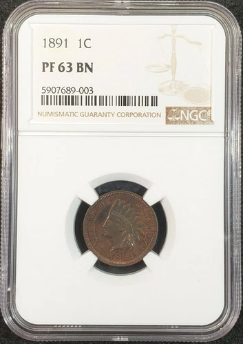 1891 Indian Head Cent Proof NGC PF63 BN 5907689-003 Exquisite Coin Rare