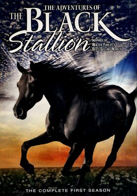 (未使用･未開封品)Adventures of Black Stallion: First Season [DVD] Amazon.com: The Adventures of The Black Stallion: Season 1