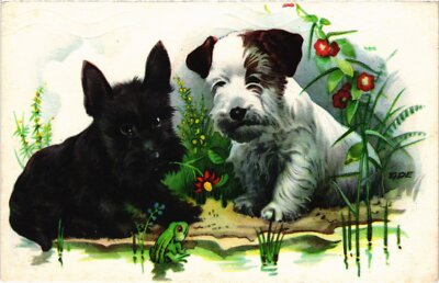 CPA AK Hunde mit Frosch HUNDE (1388373)