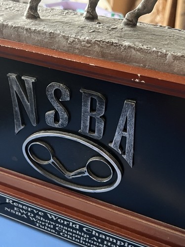 2014 NSBA World Championships Trophy, Reserve World Champion, Tulsa, Oklahoma - 第 5/24 張圖片