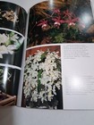 Picture 11 of 11