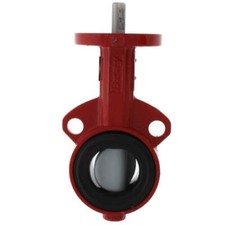 Bray 300200-11010119 Butterfly Valve 2 Inch Wafer Design EPDM Seat Stainless Ste