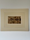 Foto 10 di 14