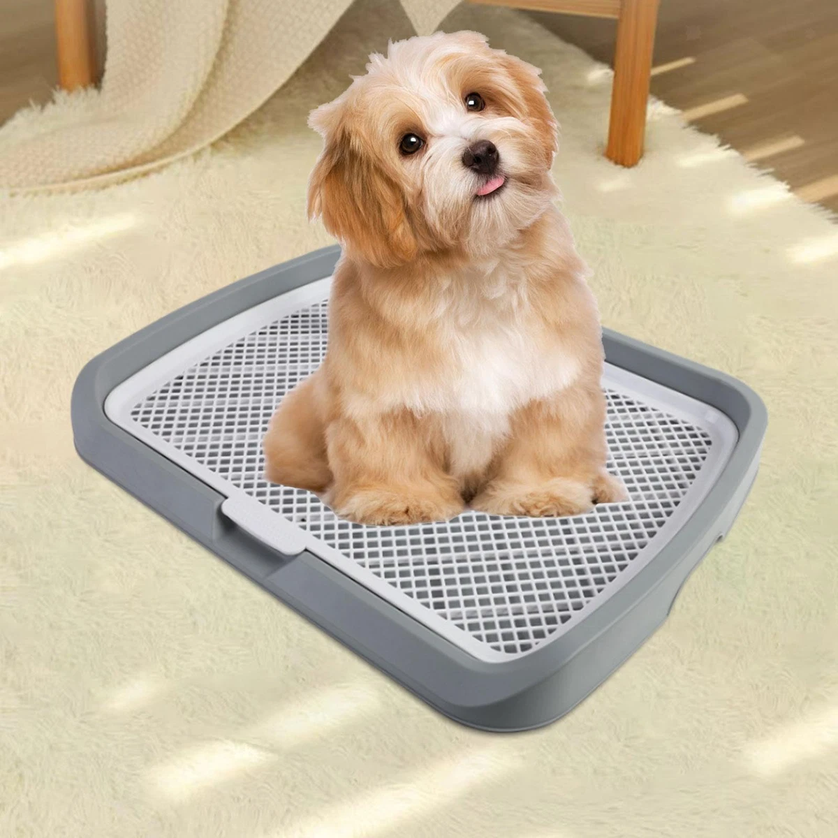 Litter hot sale tray dog